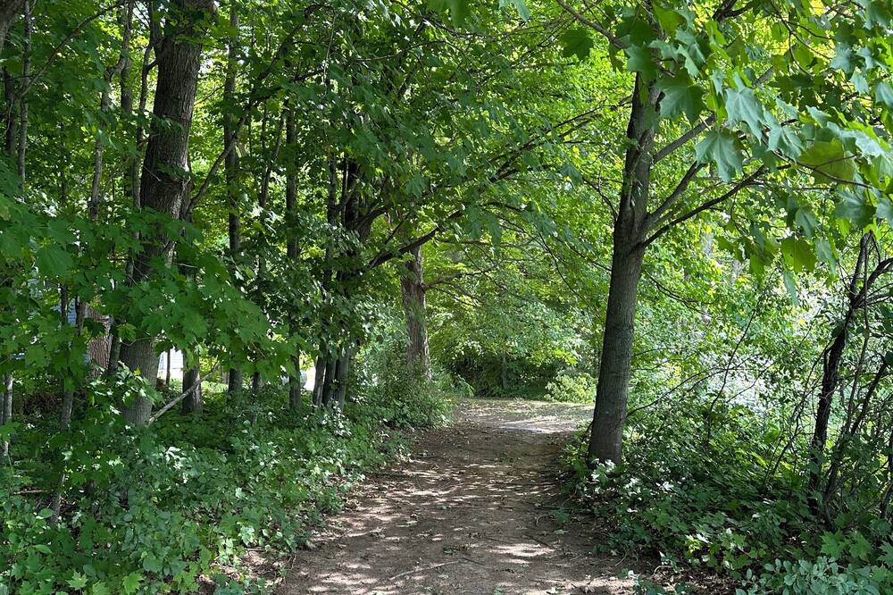 Photo of Outdoor in Shell Lake