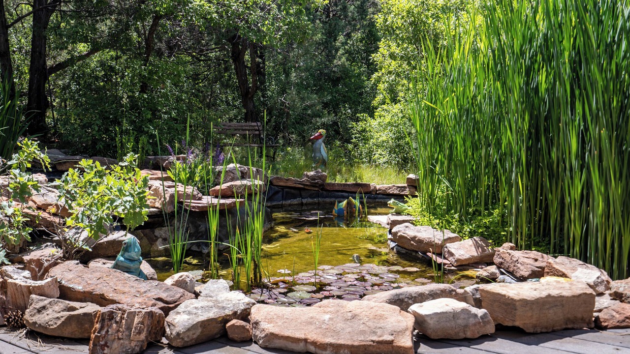 Photo of Outdoor in Canoncito