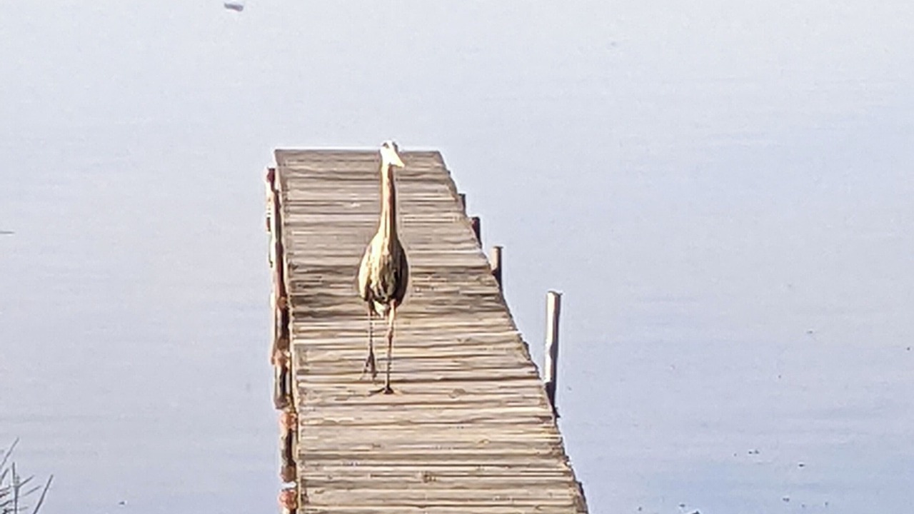 Photo of Outdoor in Forest Lake