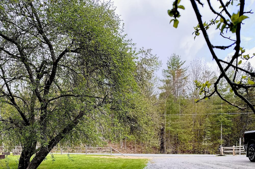 Photo of Others in West Burke