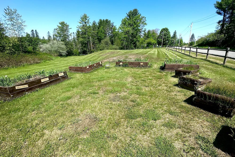 Photo of Outdoor in West Burke
