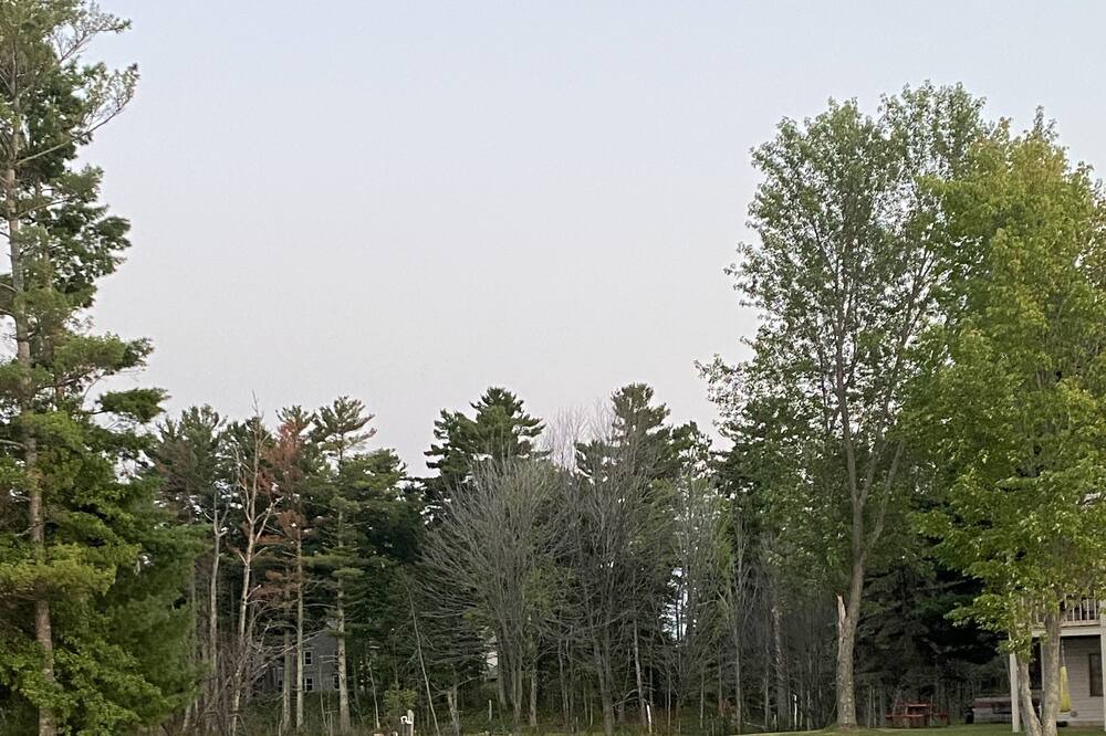 Photo of Outdoor in Webster