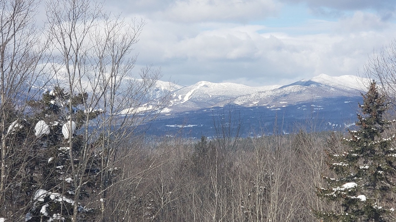 Photo of Others in Stowe Hollow