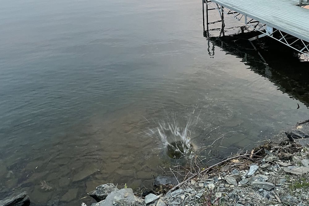 Photo of Outdoor in Fair Haven