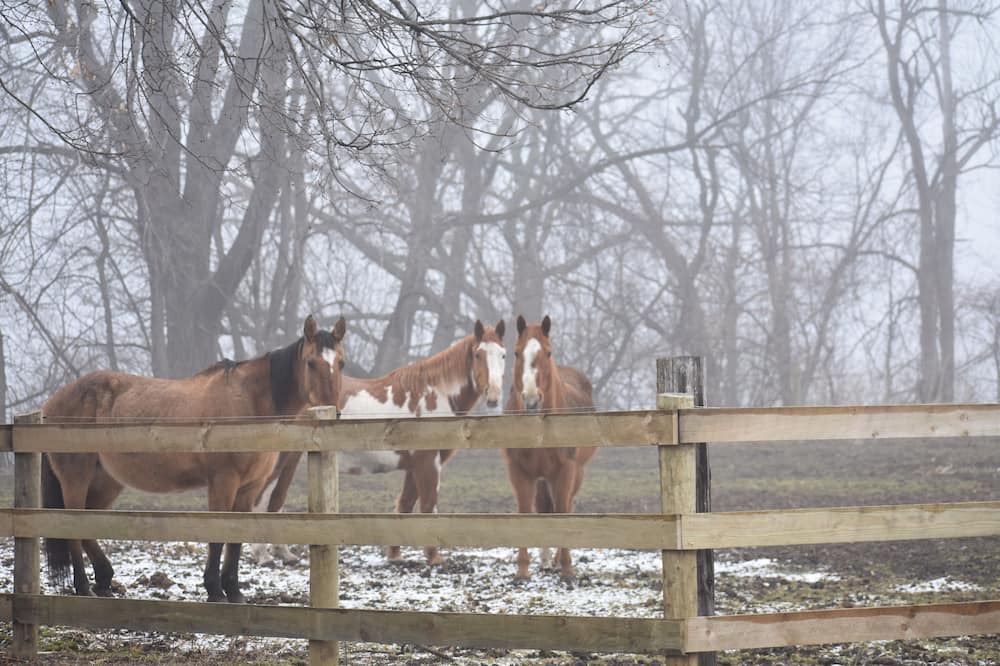 Photo of Others in Faribault