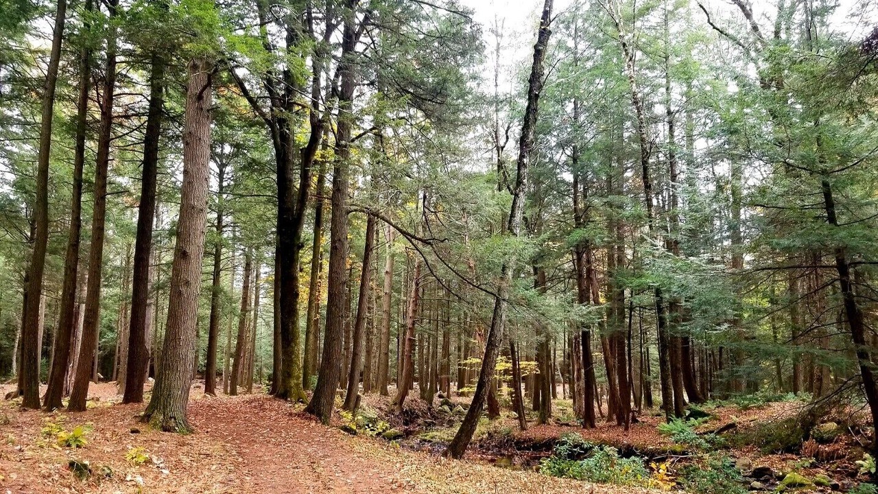 Photo of Outdoor in Litchfield