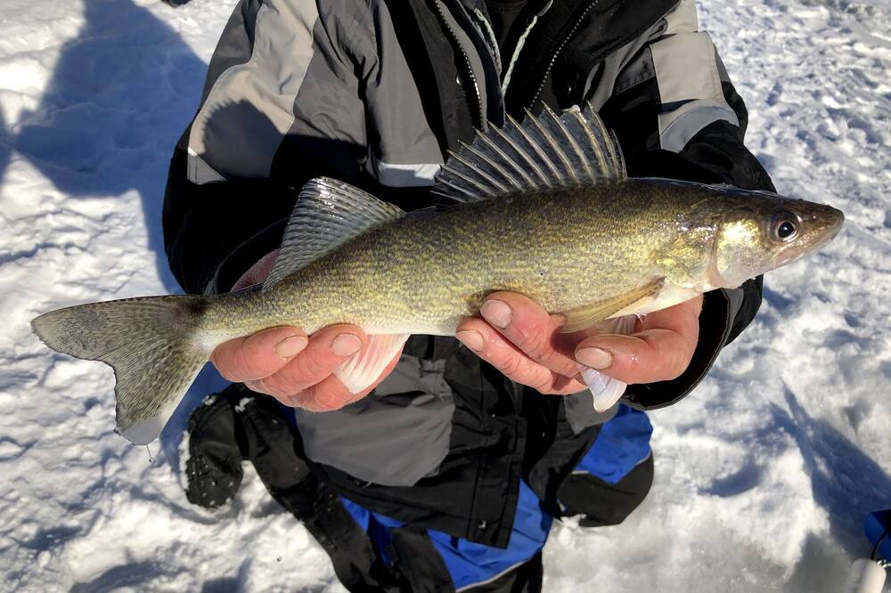 Photo of Outdoor in Chief Lake