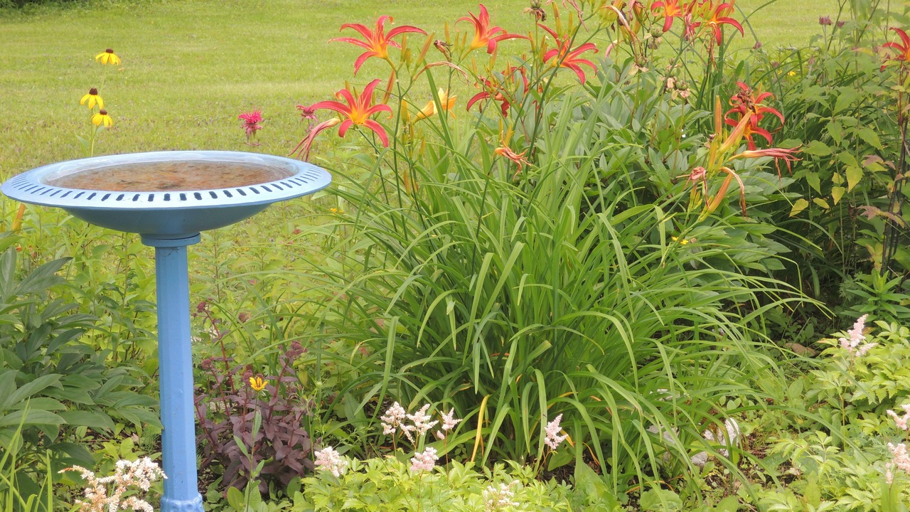 Photo of Outdoor in Westmore
