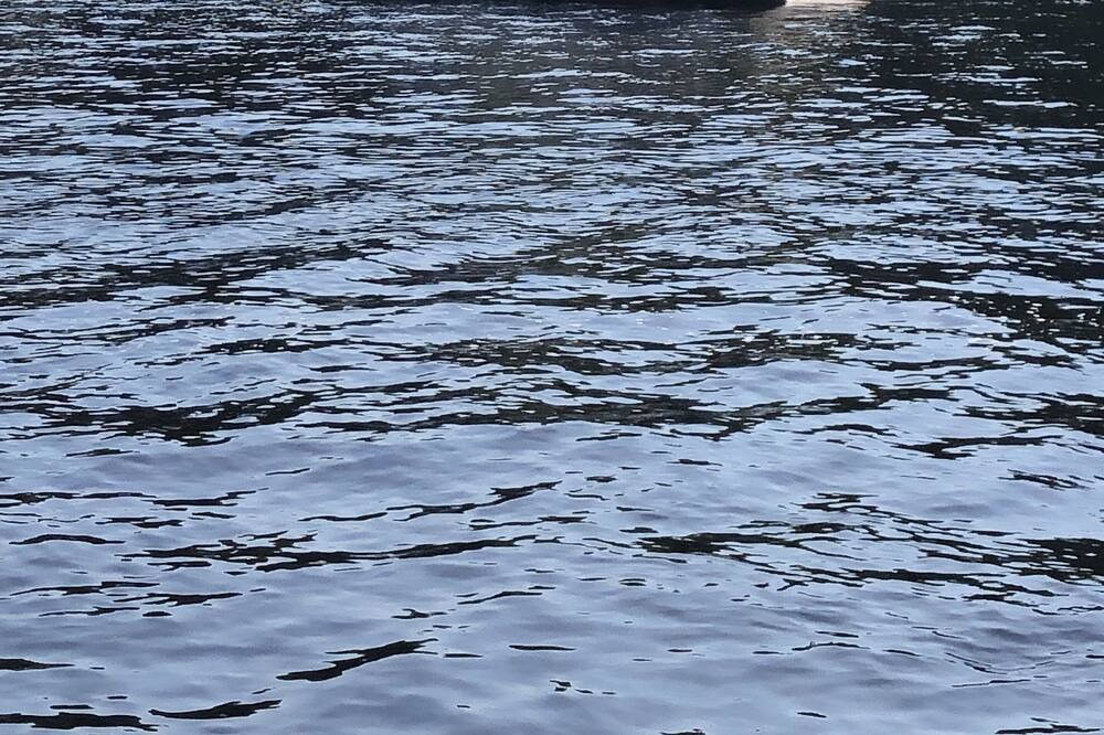 Photo of Others in Wanakena
