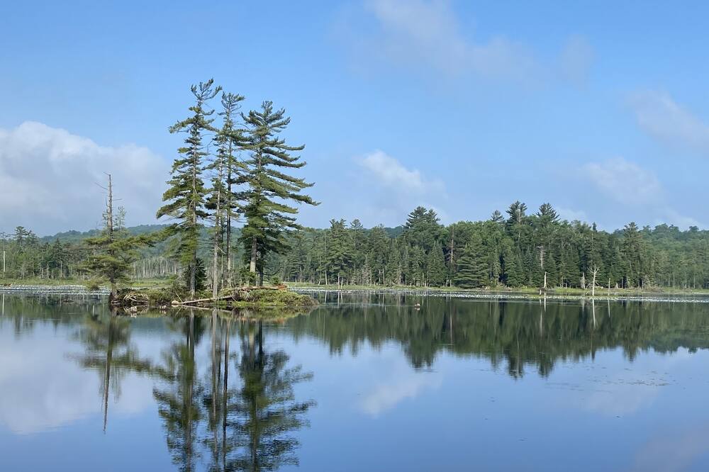 Photo of Outdoor in Wanakena