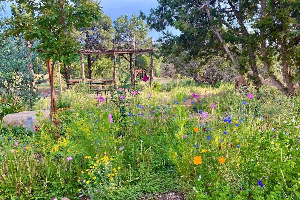 Photo of Outdoor in La Tierra