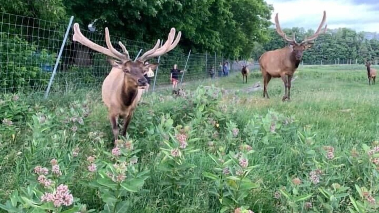 Photo of Outdoor in Derby