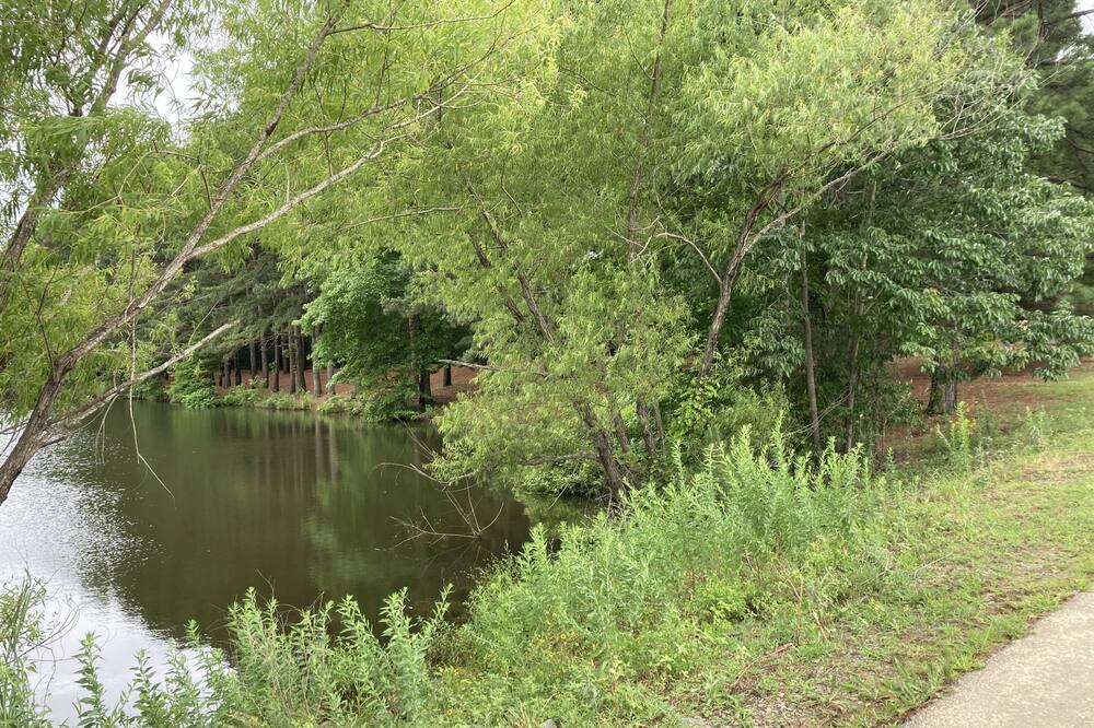 Photo of Outdoor in Hazen