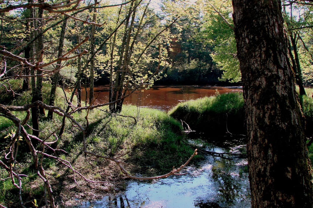 Photo of Outdoor in Jim Falls
