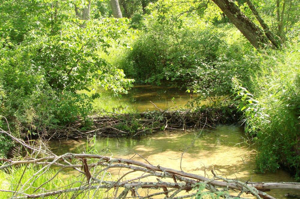 Photo of Outdoor in Jim Falls