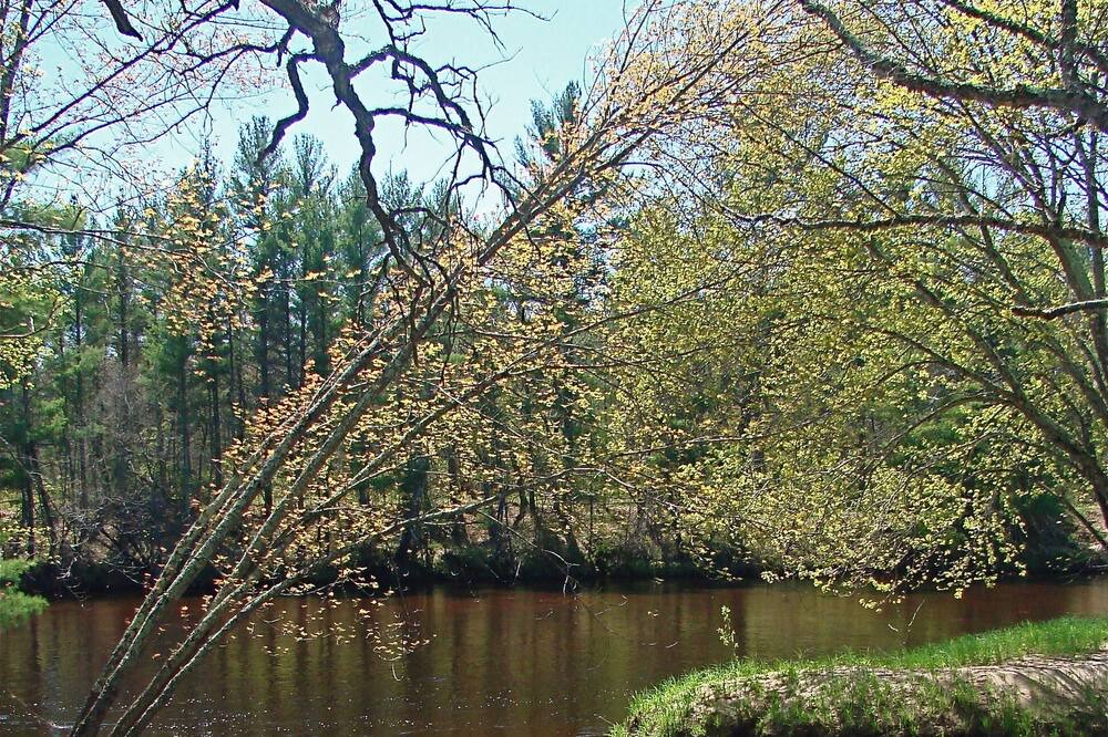 Photo of Others in Jim Falls