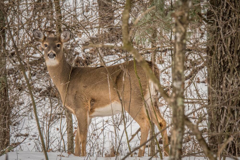 Photo of Others in Jim Falls