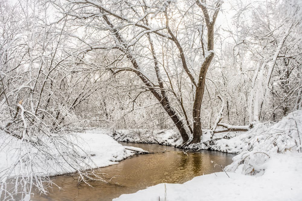 Photo of Others in Jim Falls
