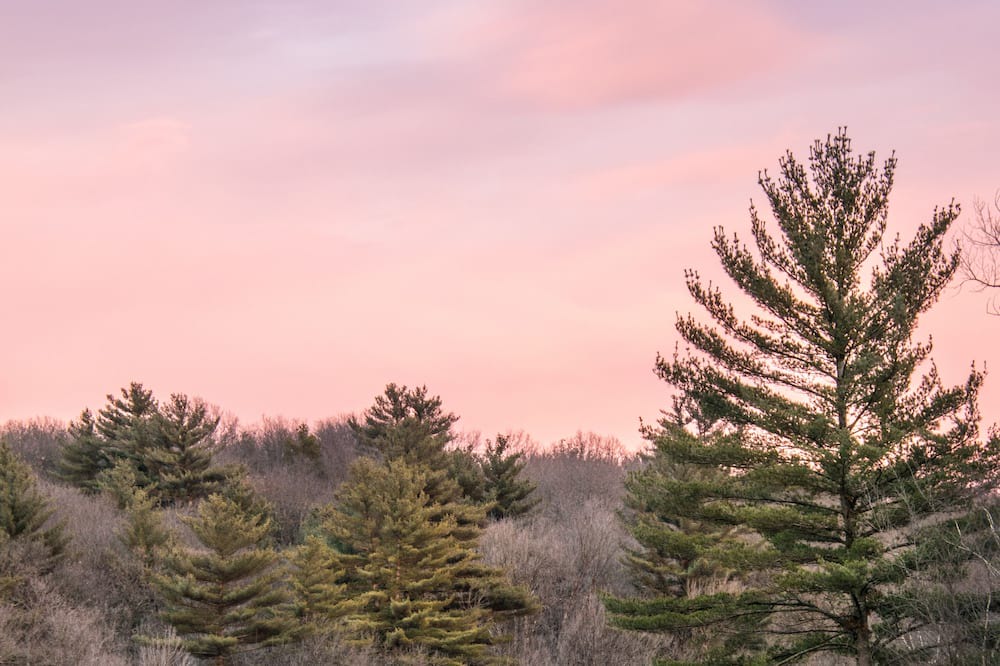 Photo of Outdoor in Jim Falls