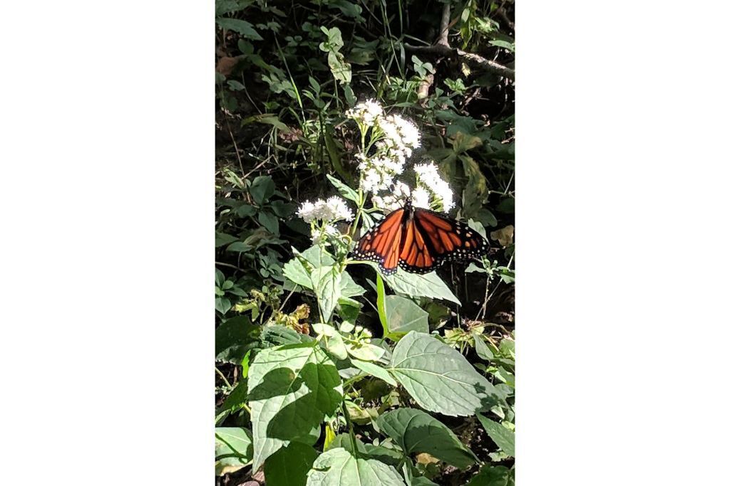 Photo of Outdoor in Frontenac