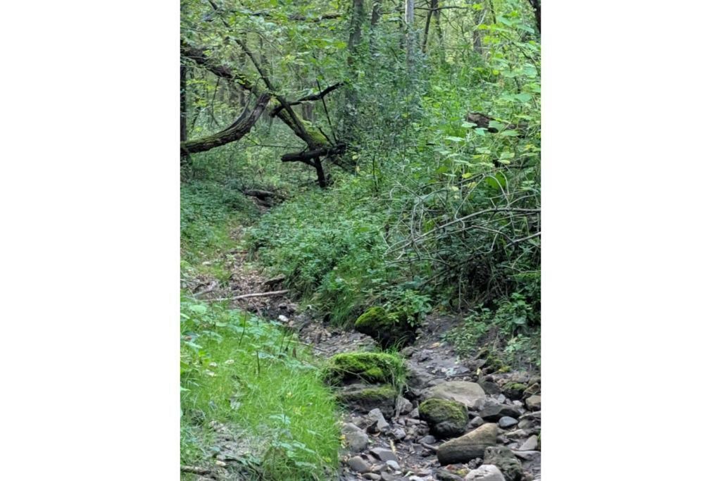 Photo of Outdoor in Frontenac