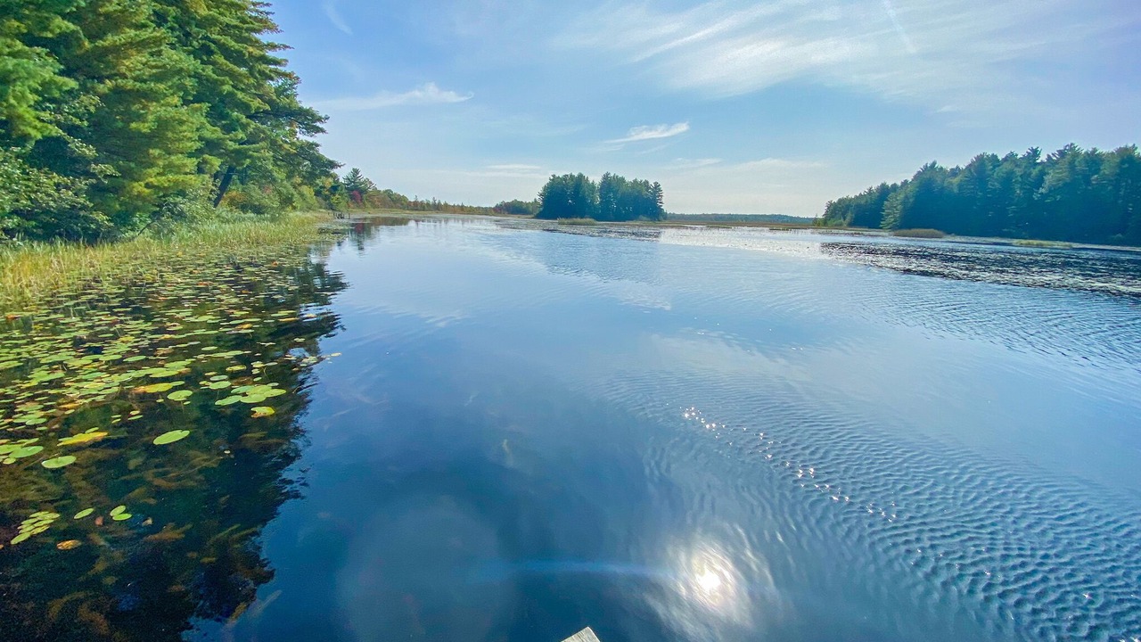 Photo of Outdoor in Gordon