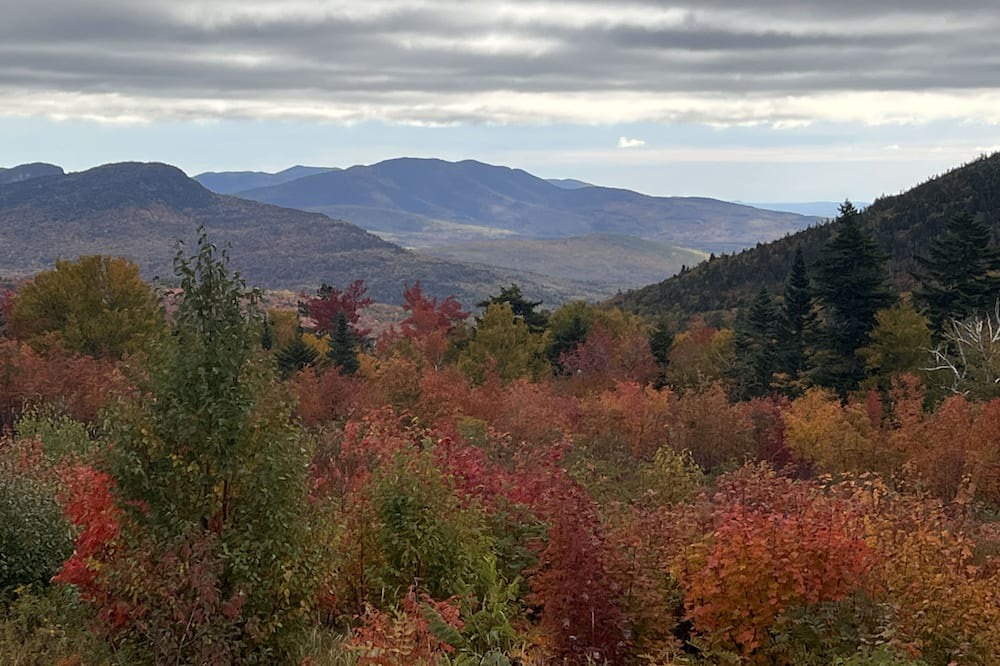 Photo of Others in Montpelier