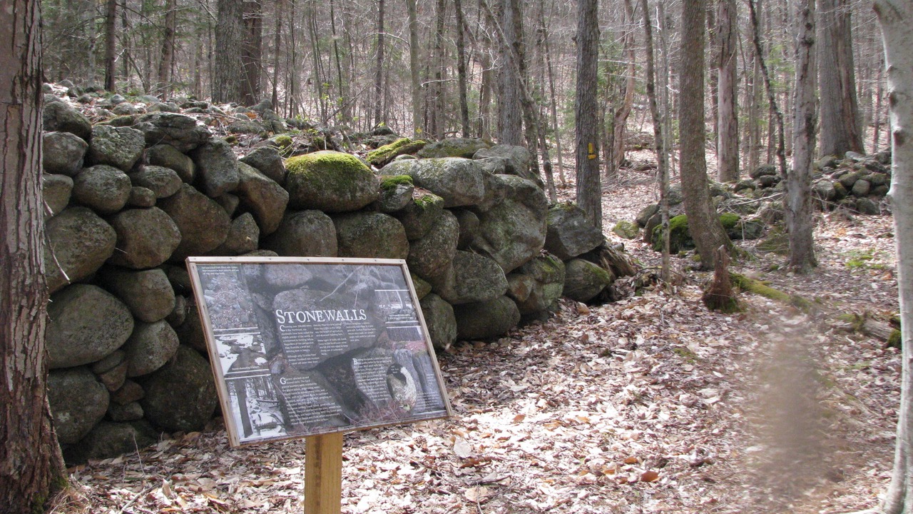 Photo of Outdoor in Stoddard