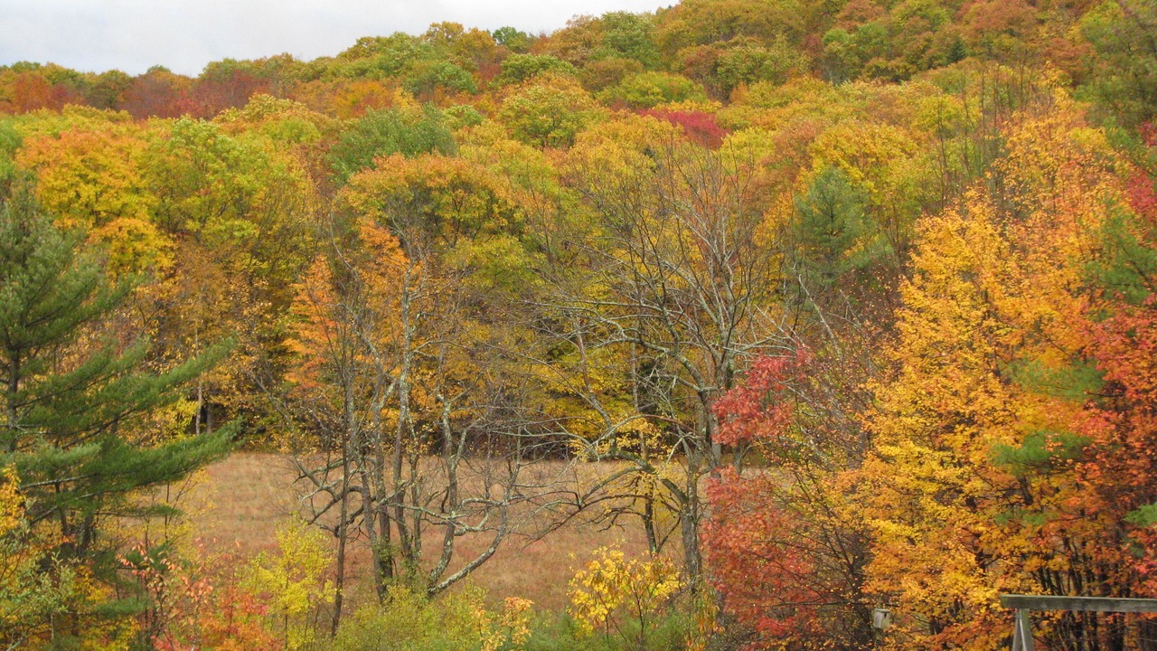 Photo of Outdoor in Stoddard