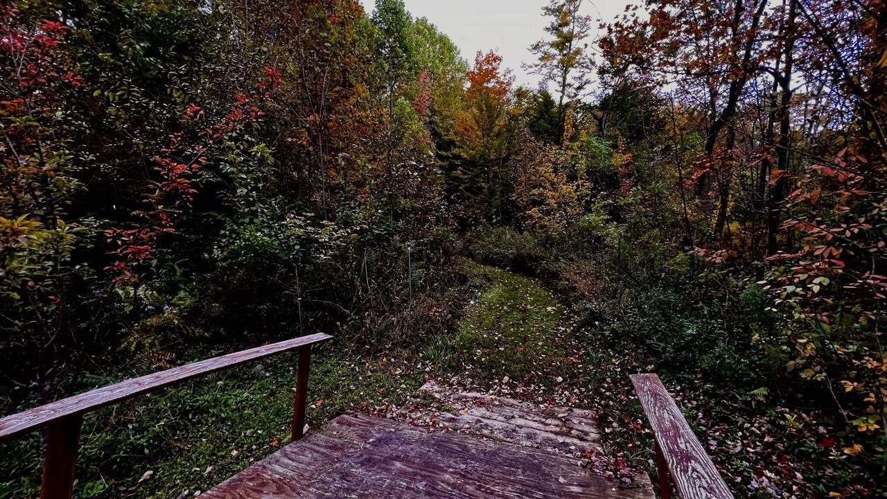 Photo of Outdoor in Cleveland