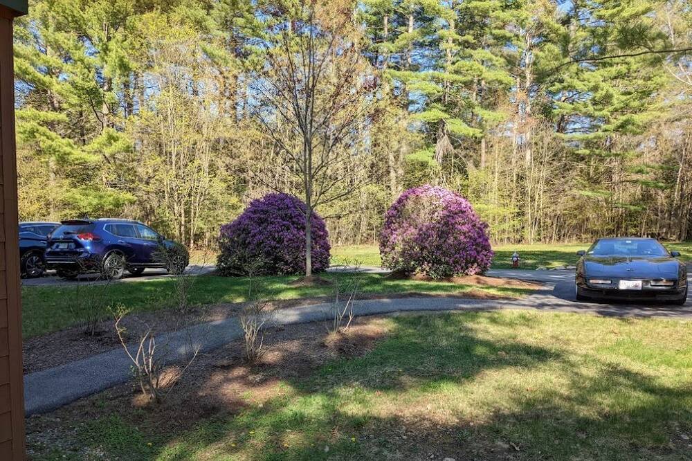 Photo of Outdoor in North Woodstock