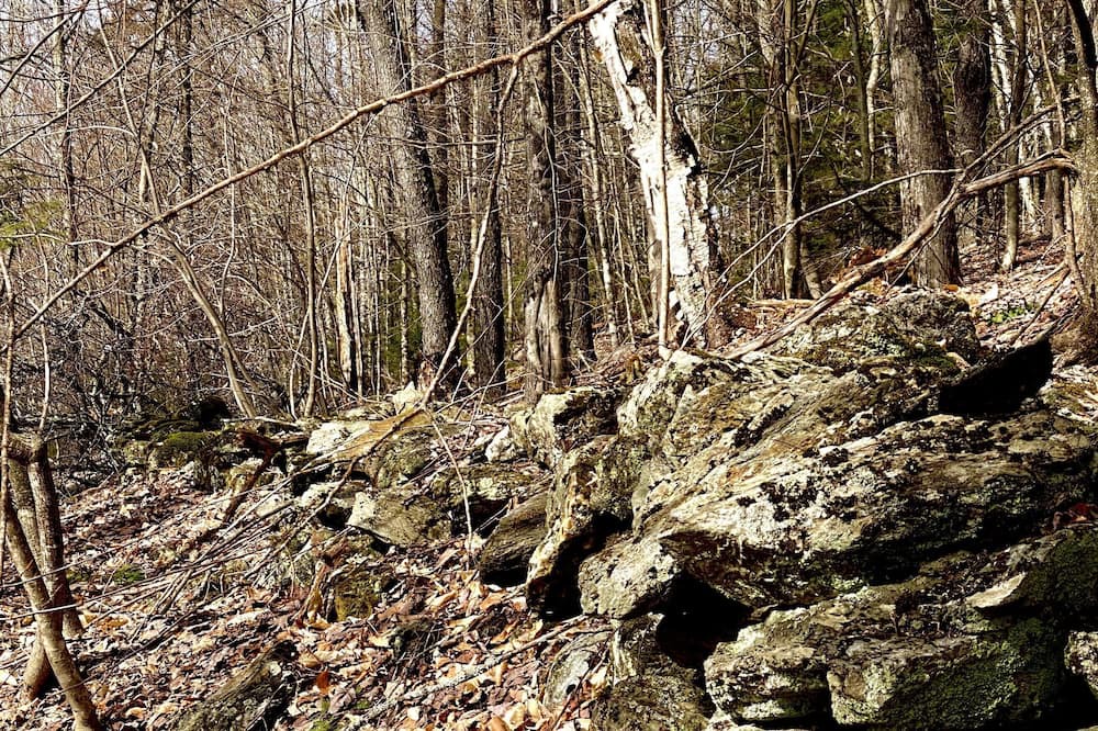 Photo of Others in Rochester