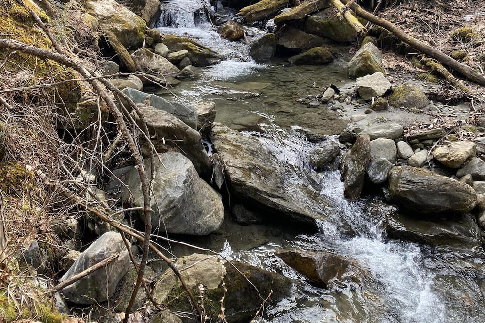 Photo of Others in Rochester