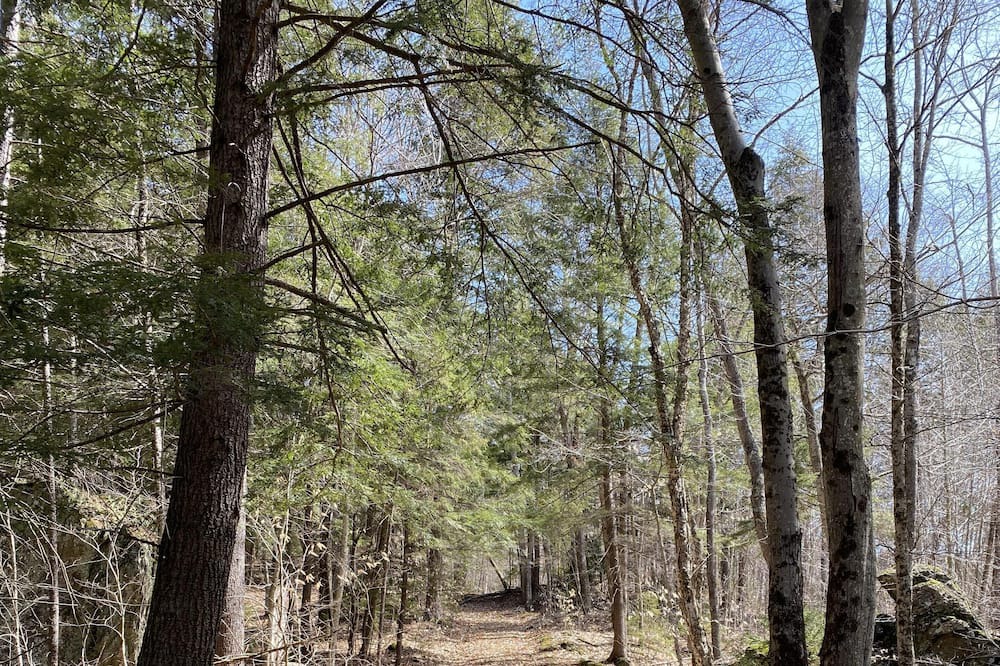 Photo of Outdoor in Rochester