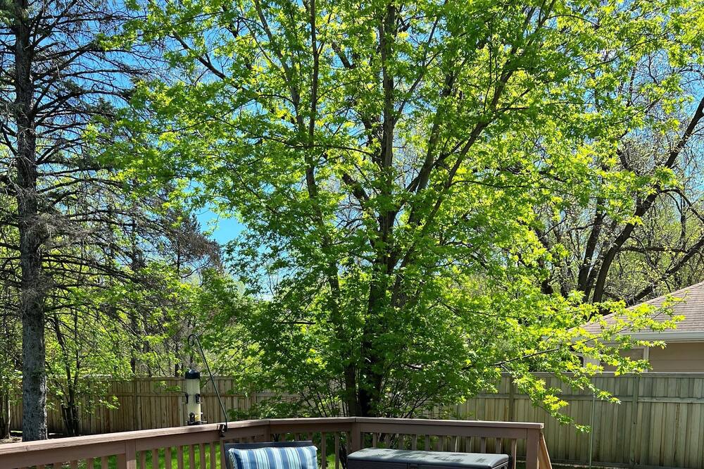 Photo of Outdoor in Minnetonka
