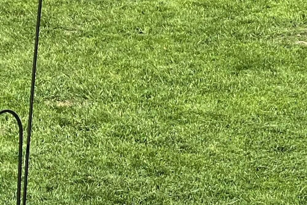 Photo of Others in Minnetonka
