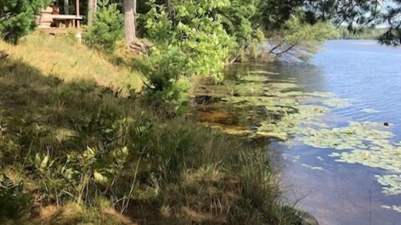 Photo of Outdoor in Nadeau