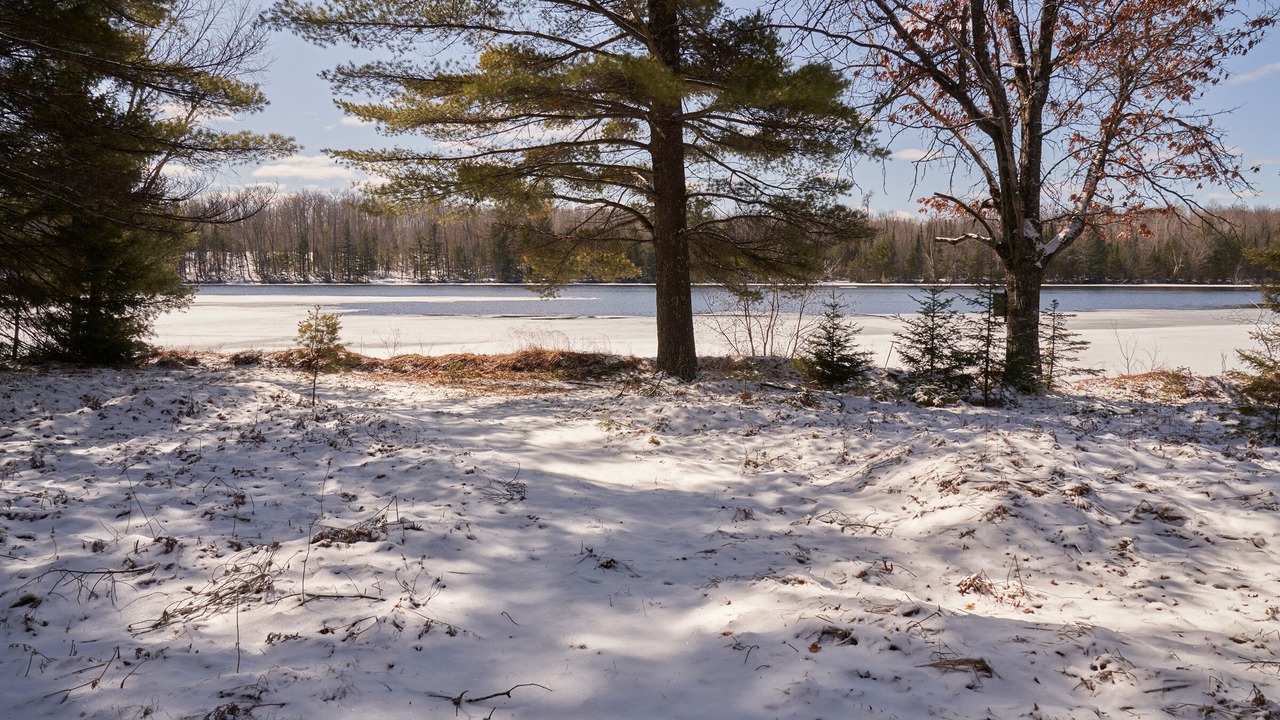 Photo of Others in Nadeau