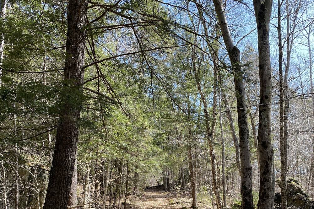 Photo of Outdoor in Rochester