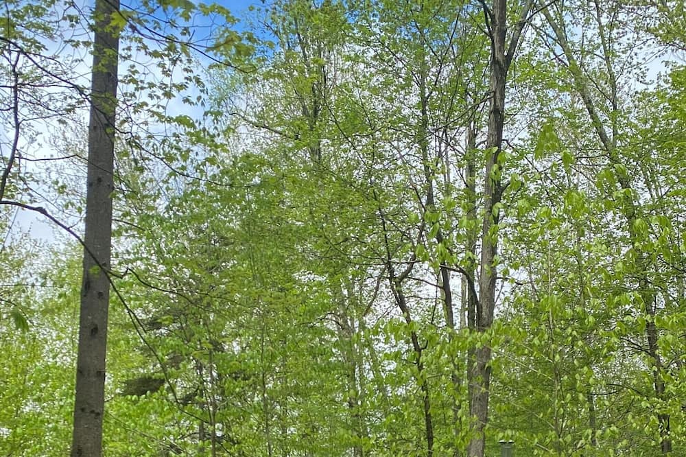 Photo of Others in Rochester