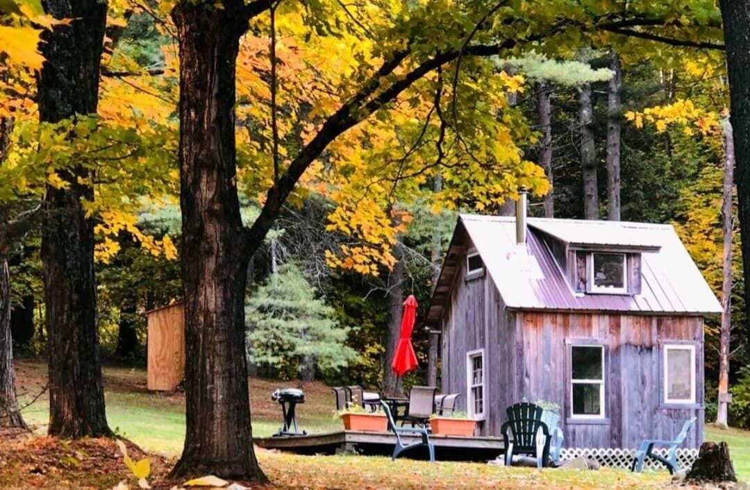 Photo of Outdoor in Barton