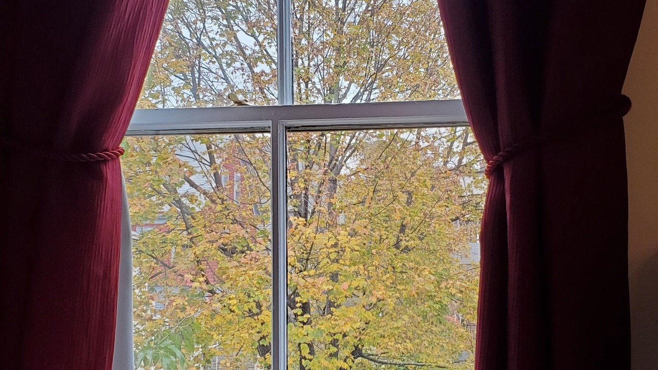 Photo of Bedroom in Somerville