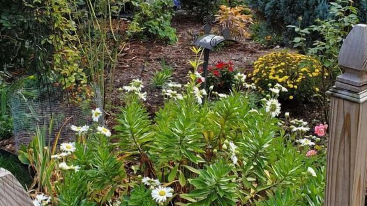 Photo of Outdoor in Somerville