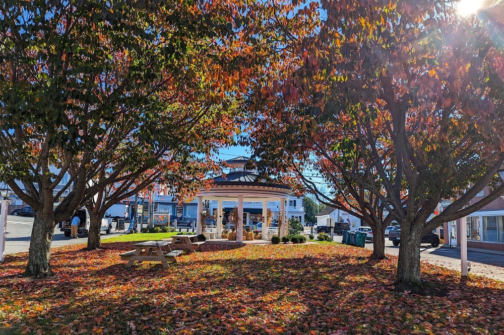 Photo of Others in Hampton