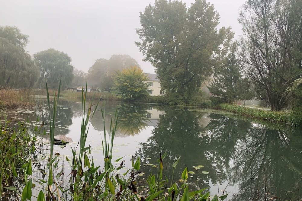 Photo of Outdoor in Braintree
