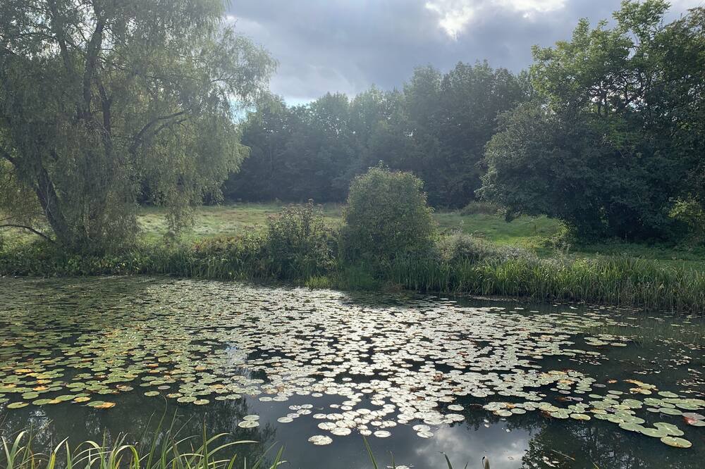 Photo of Outdoor in Braintree