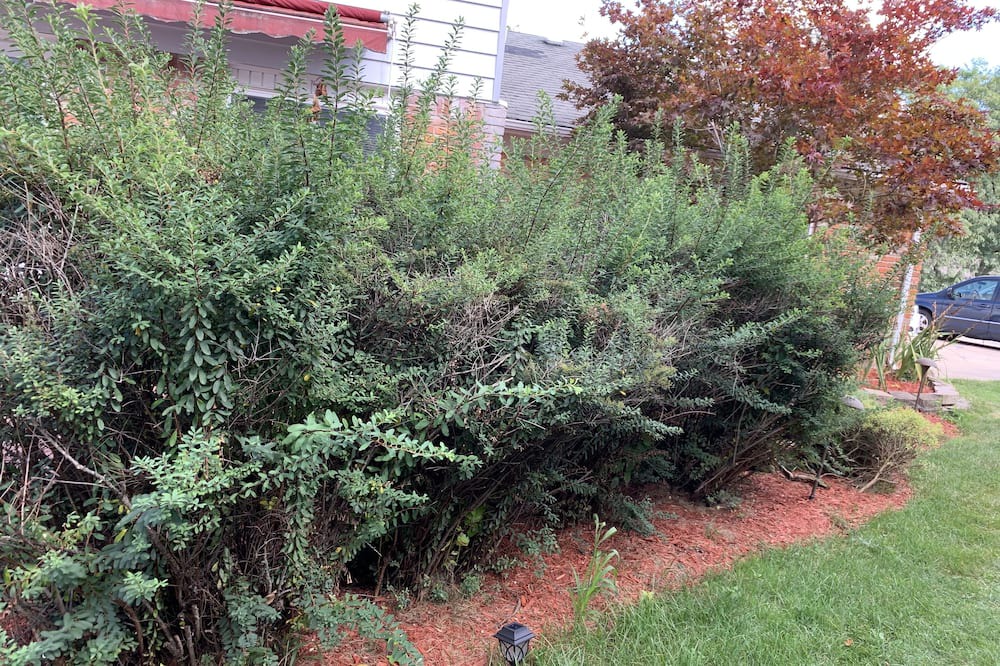Photo of Outdoor in West Bloomfield