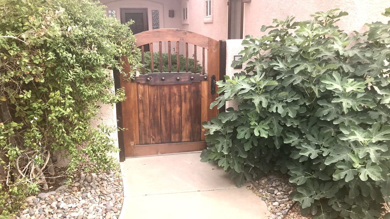 Photo of Outdoor in Ranchito