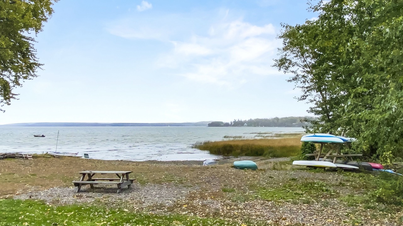 Photo of Others in Malletts Bay