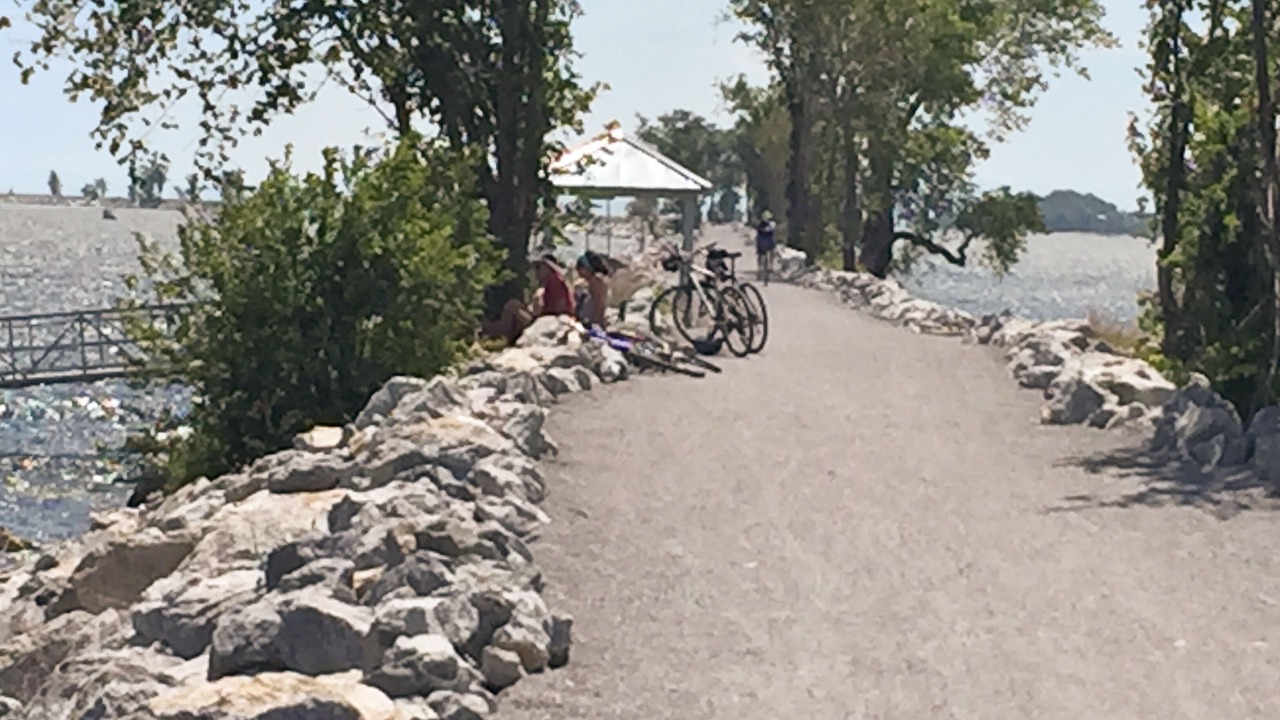 Photo of Others in Malletts Bay